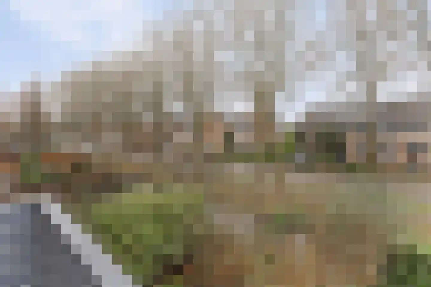Molenhoef 45 Hendrik-Ido-Ambacht thumbnail 8