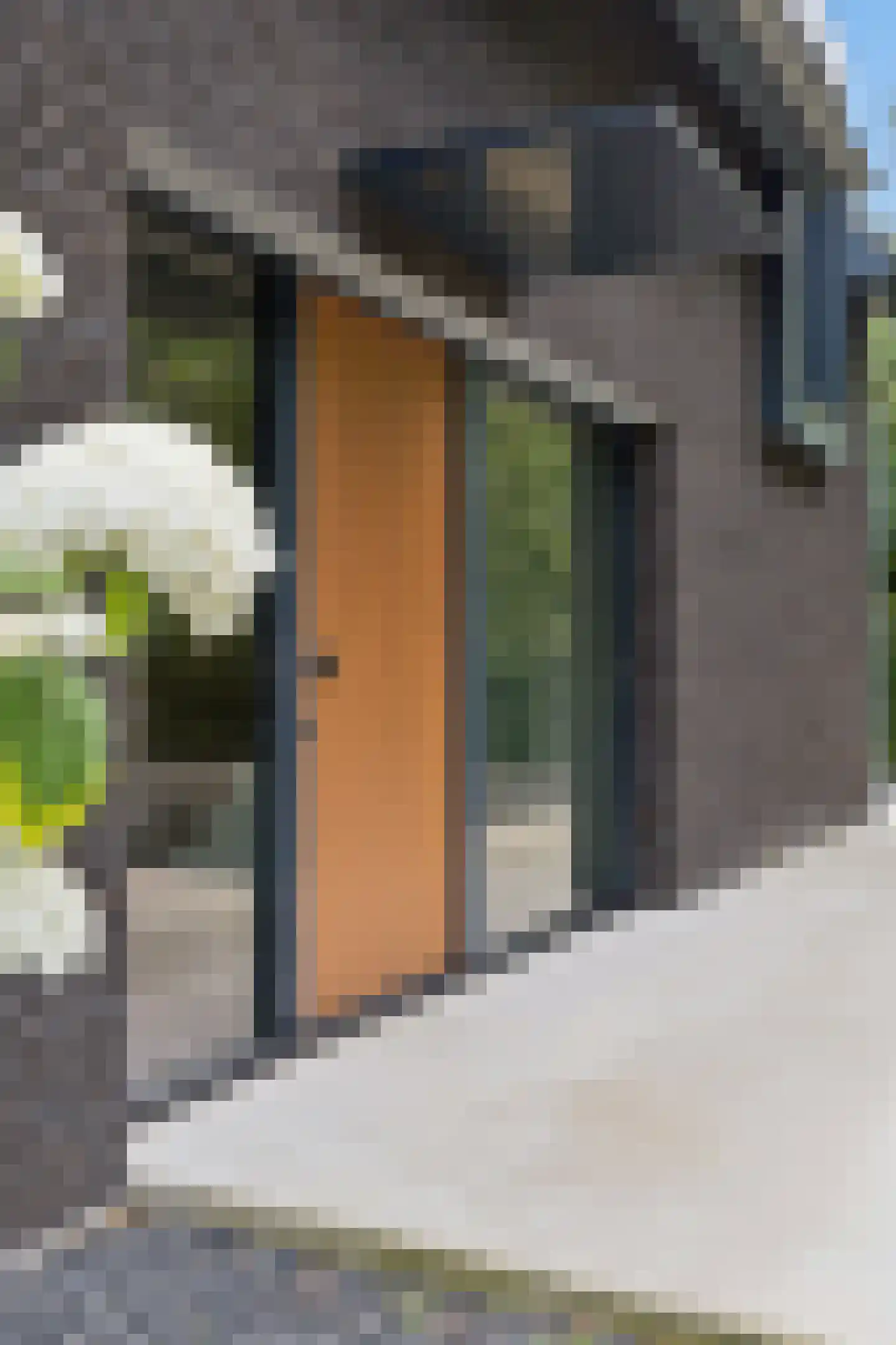 Molenhoefstraat 7 a Udenhout thumbnail 10