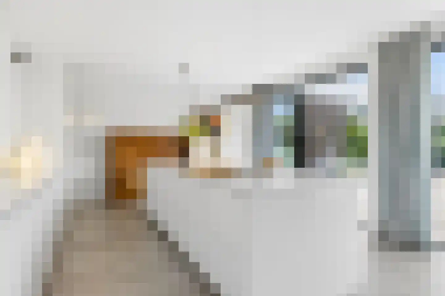 Molenhoefstraat 7 a Udenhout thumbnail 22