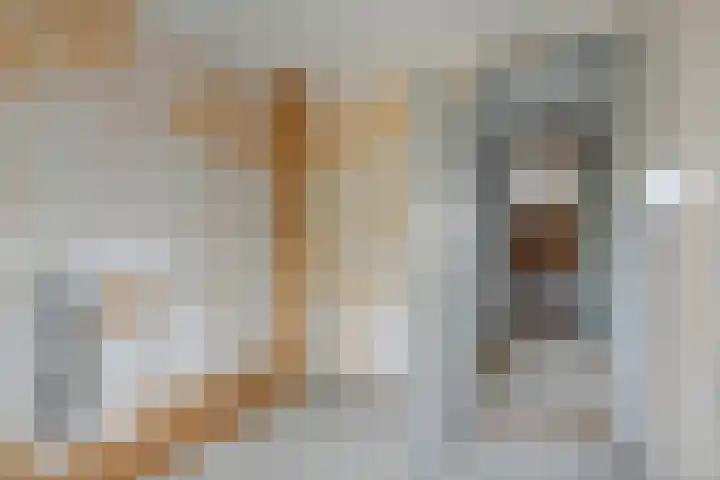 Molenhoek 1 Druten thumbnail 22