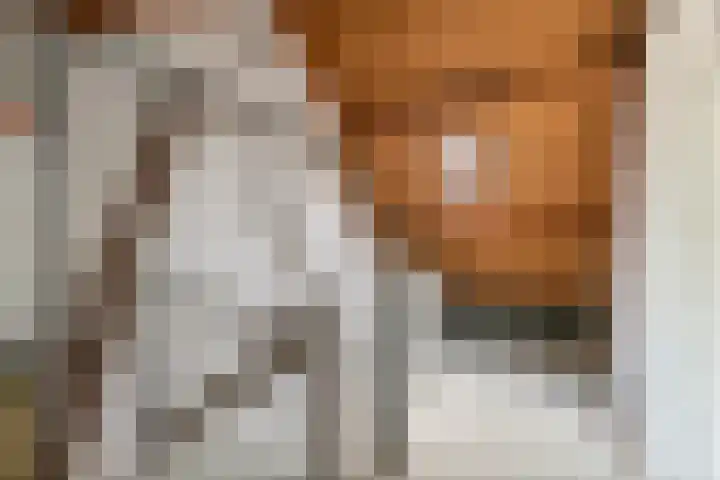 Molenhoek 1 Druten thumbnail 26