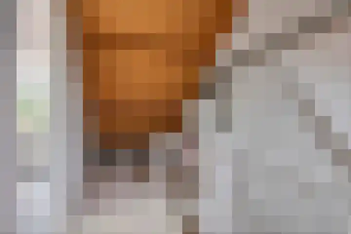 Molenhoek 1 Druten thumbnail 27
