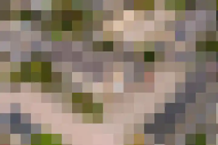 Molenhoek 1 Druten thumbnail 38