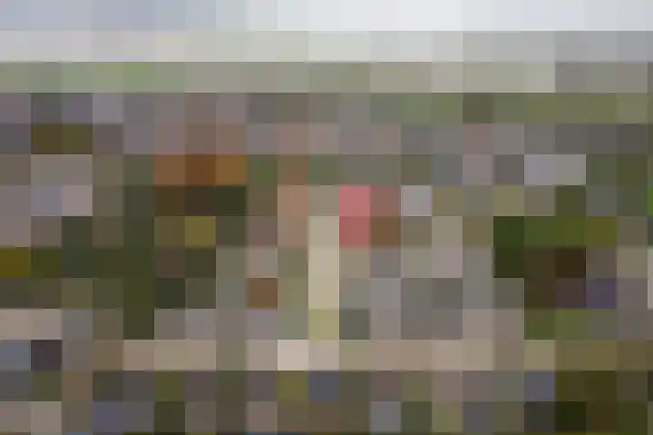 Molenhoek 1 Druten thumbnail 39