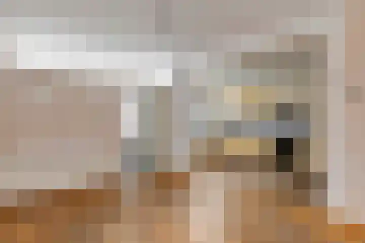 Molenhoek 1 Druten thumbnail 4