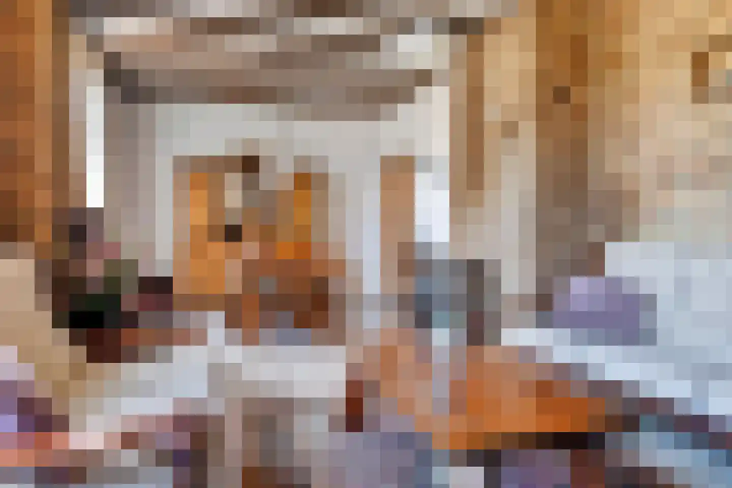 Molenhoek 12 Wanssum thumbnail 13
