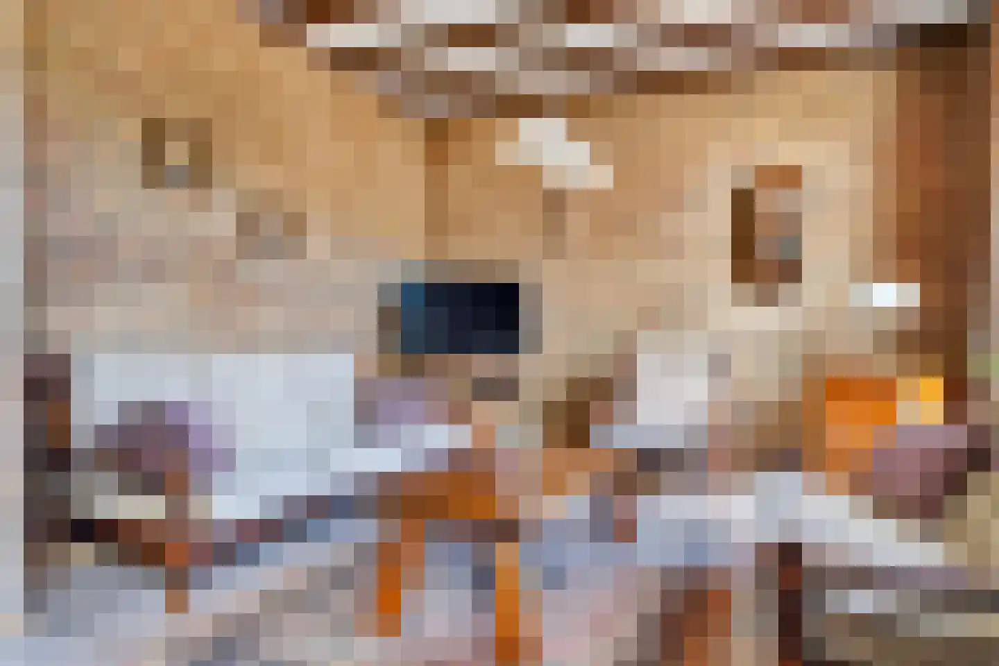 Molenhoek 12 Wanssum thumbnail 16