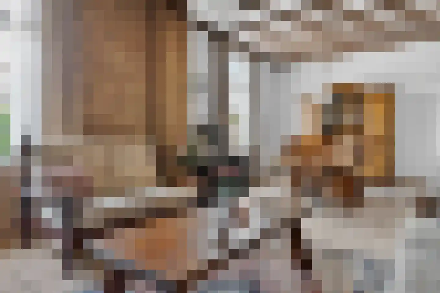 Molenhoek 12 Wanssum thumbnail 17