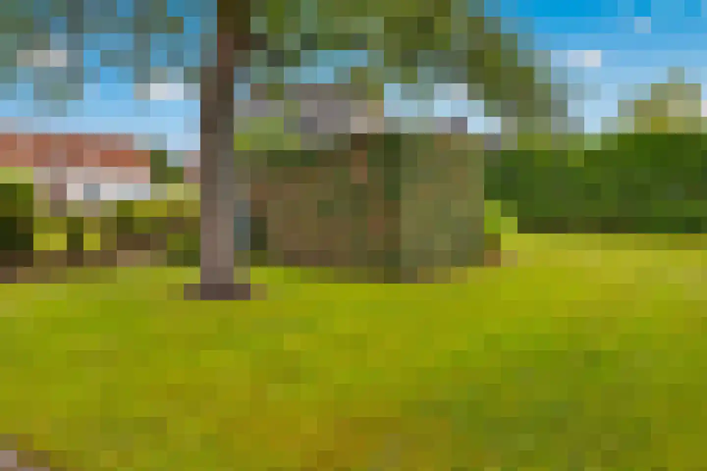 Molenhoek 12 Wanssum thumbnail 47