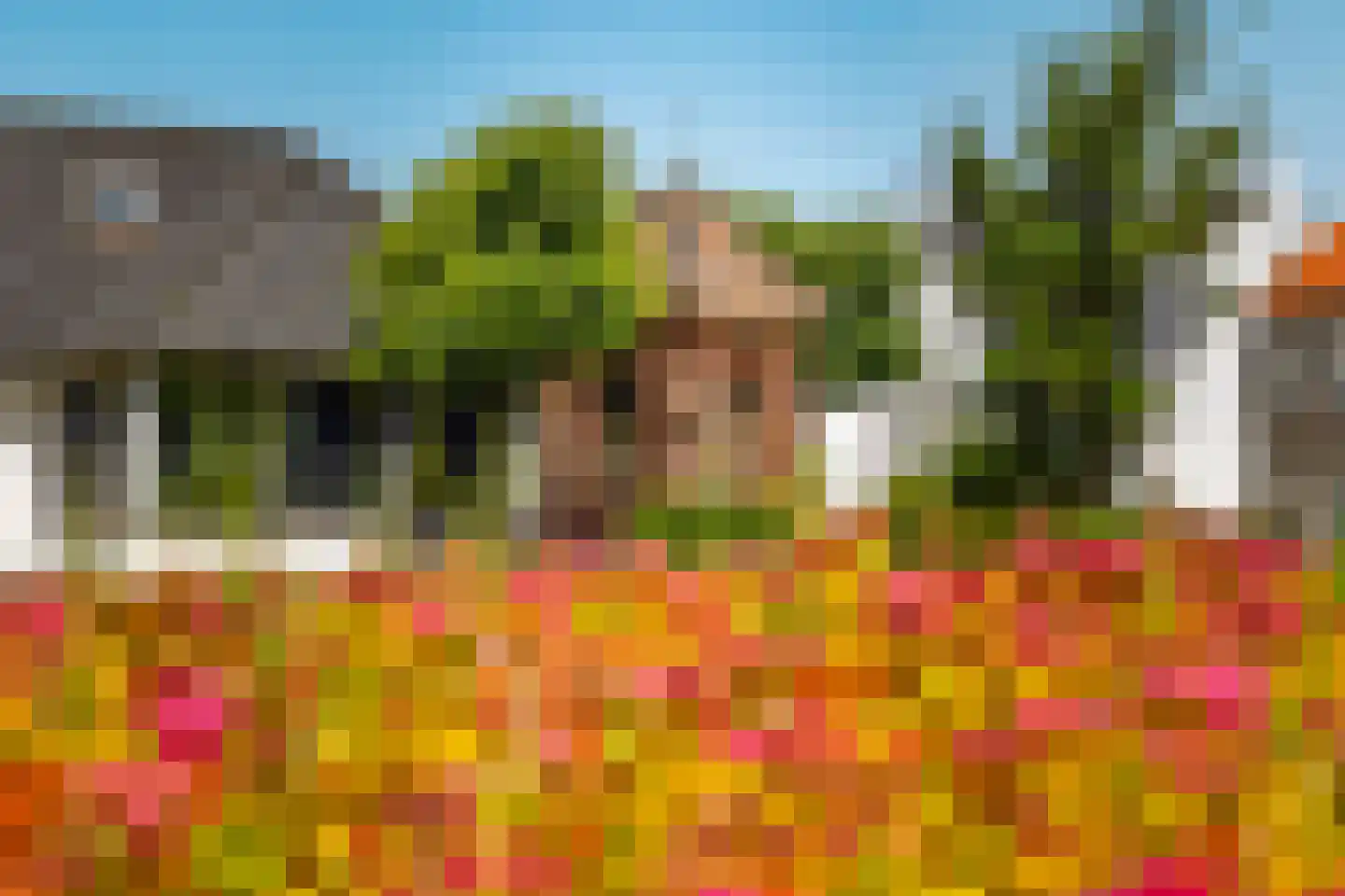Molenhoek 12 Wanssum thumbnail 50