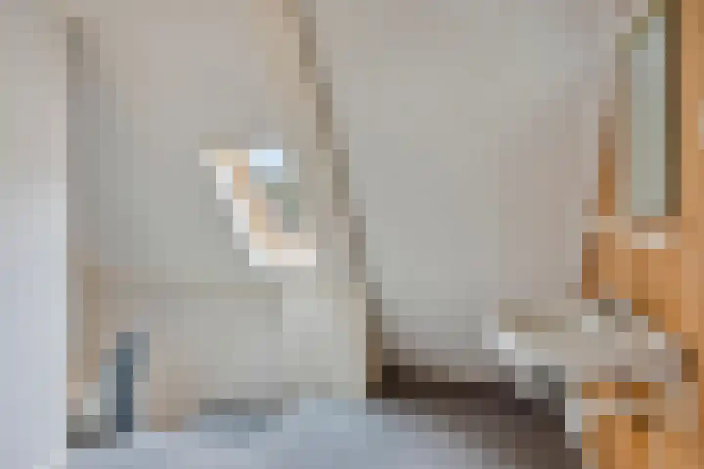 Molenhoek 18 Oldeberkoop thumbnail 18