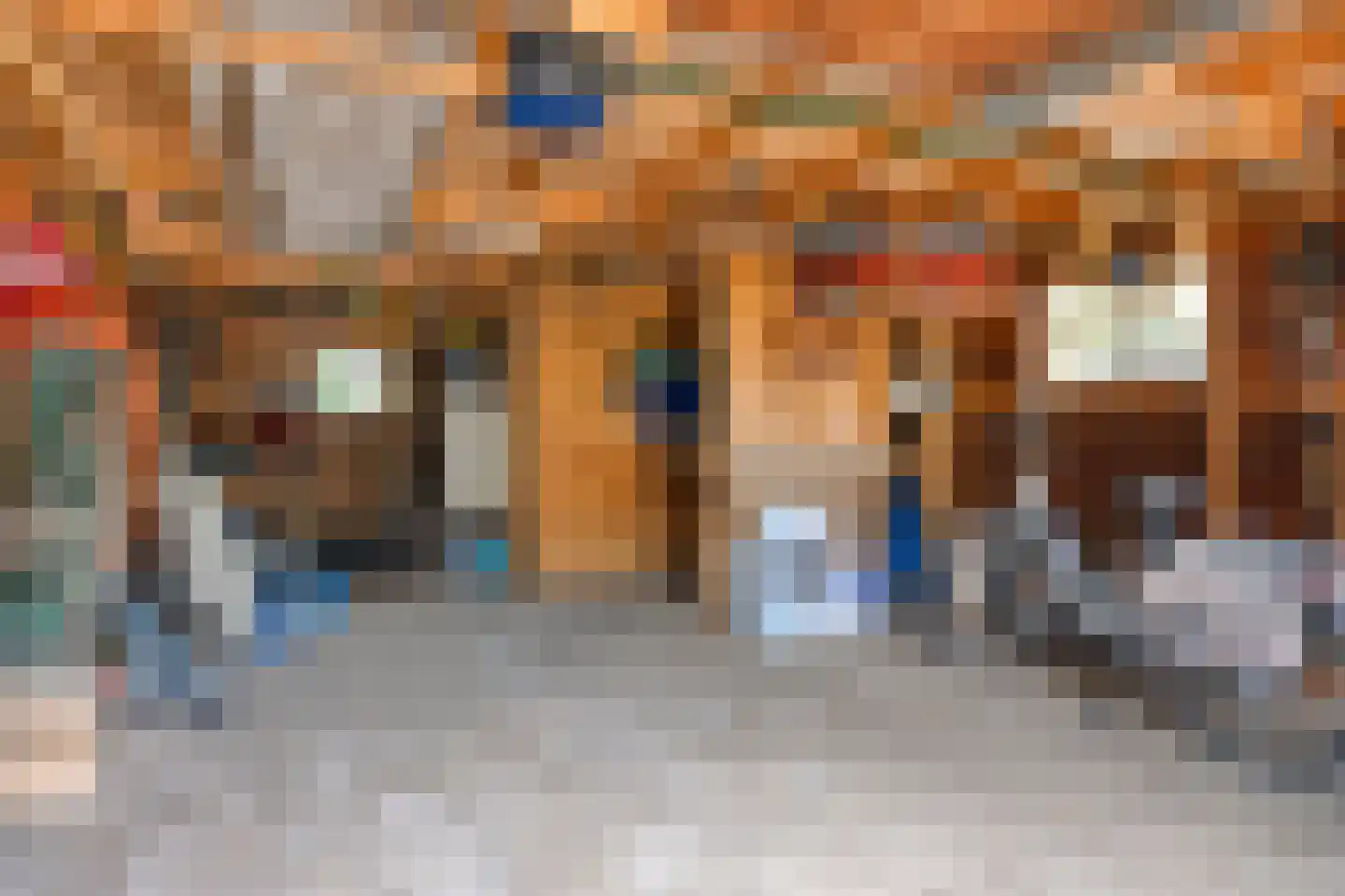 Molenhoek 18 Oldeberkoop thumbnail 29