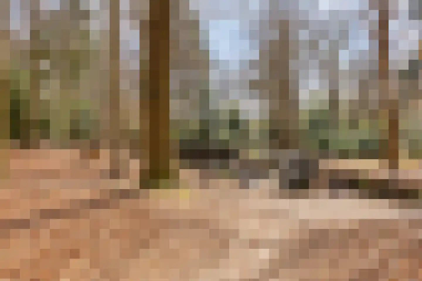 Molenhoek 18 Oldeberkoop thumbnail 37