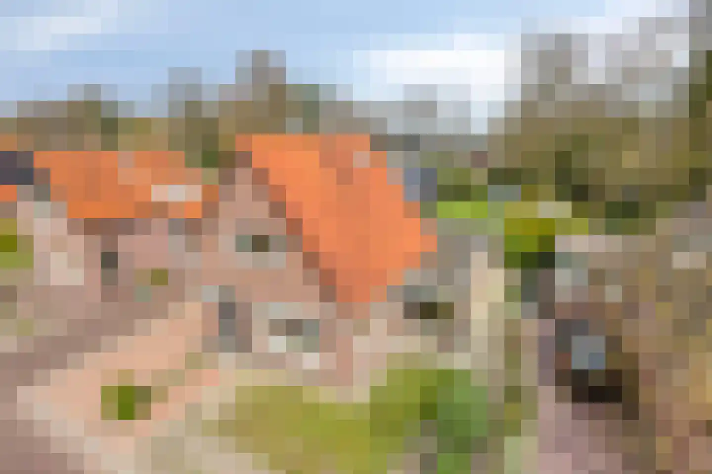 Molenhoek 18 Oldeberkoop thumbnail 4