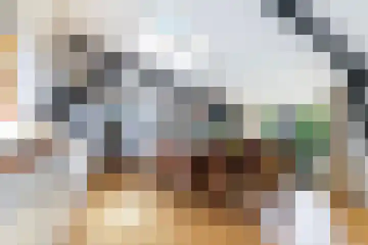 Molenhoek 21 Vlijmen thumbnail 12