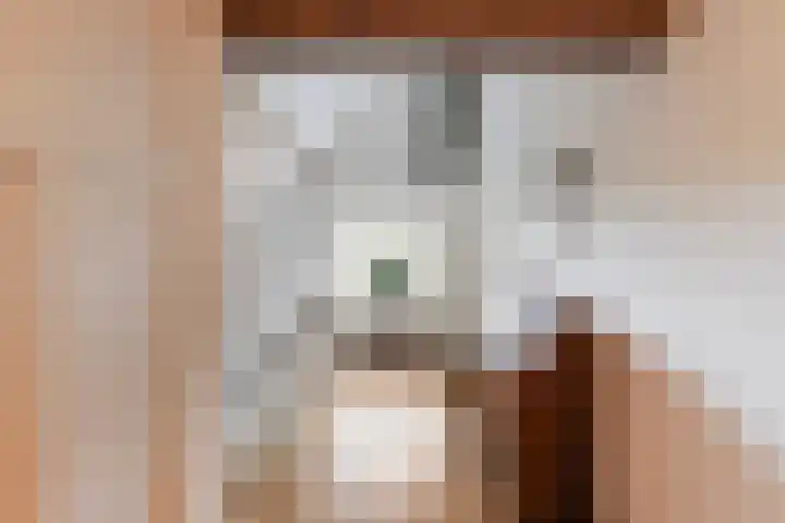 Molenhoek 21 Vlijmen thumbnail 19