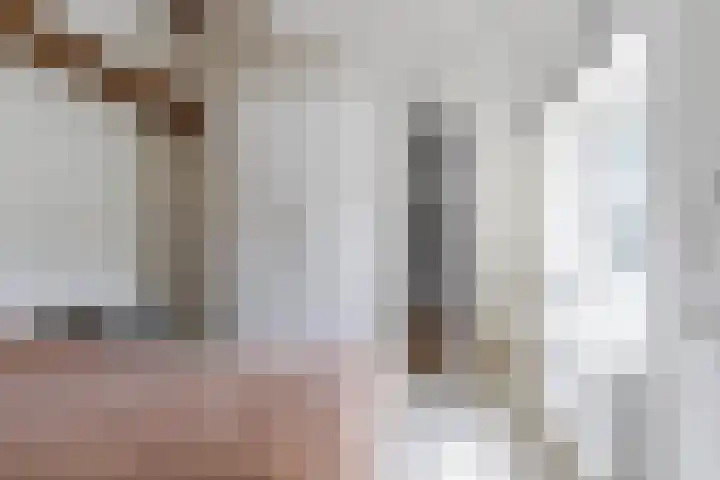 Molenhoek 21 Vlijmen thumbnail 21