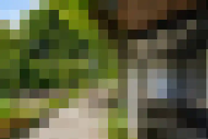 Molenhoek 21 Vlijmen thumbnail 30