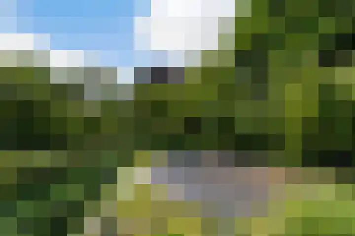 Molenhoek 21 Vlijmen thumbnail 31