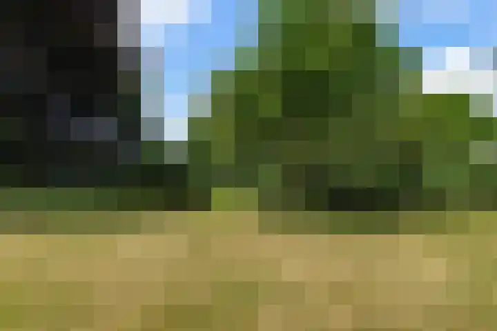 Molenhoek 21 Vlijmen thumbnail 32