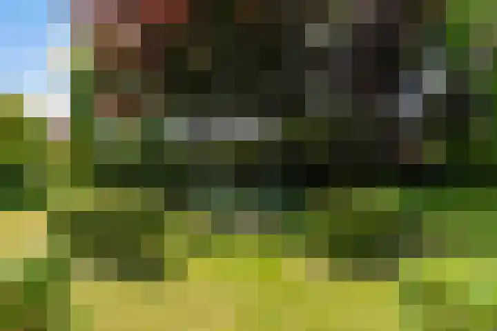 Molenhoek 21 Vlijmen thumbnail 33