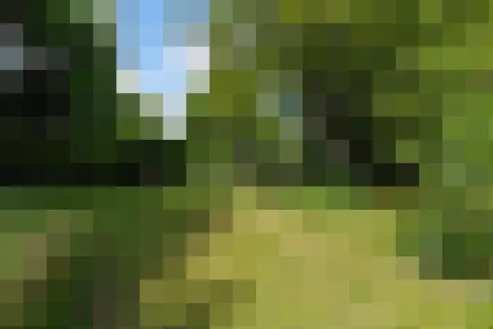 Molenhoek 21 Vlijmen thumbnail 34