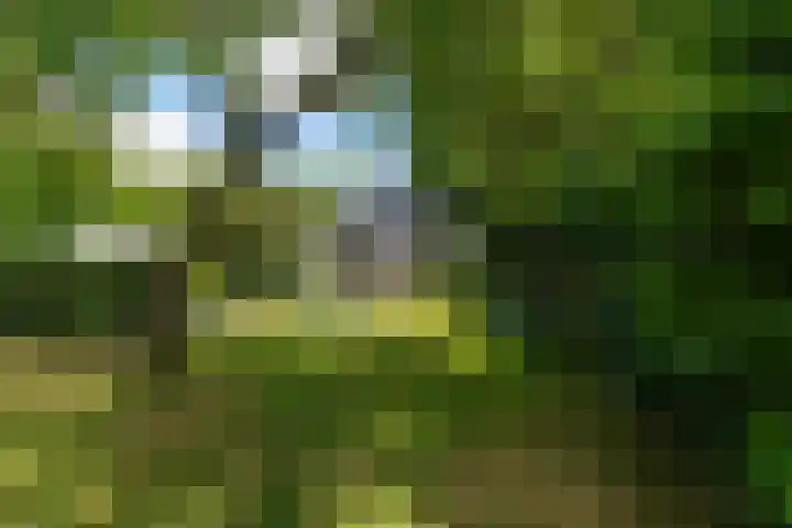 Molenhoek 21 Vlijmen thumbnail 35