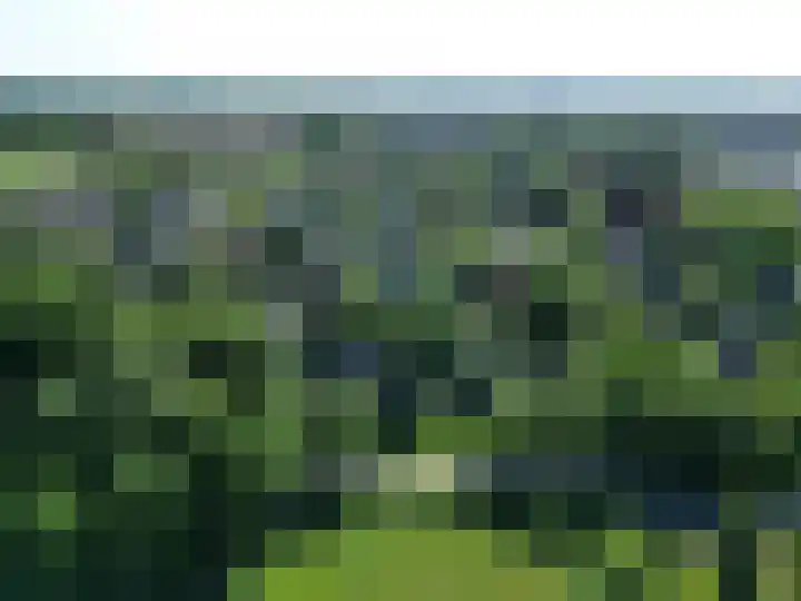 Molenhoek 21 Vlijmen thumbnail 36