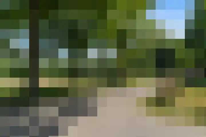 Molenhoek 21 Vlijmen thumbnail 38