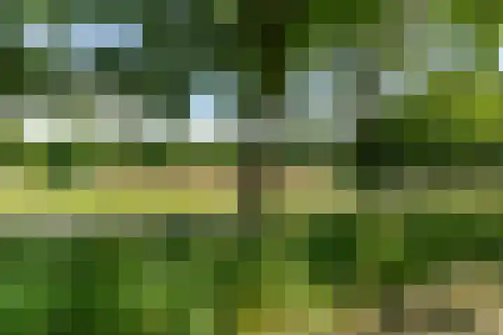 Molenhoek 21 Vlijmen thumbnail 39