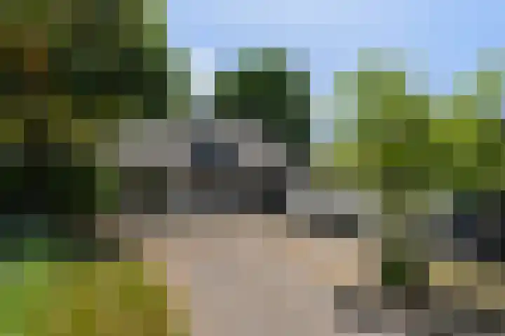 Molenhoek 21 Vlijmen thumbnail 4