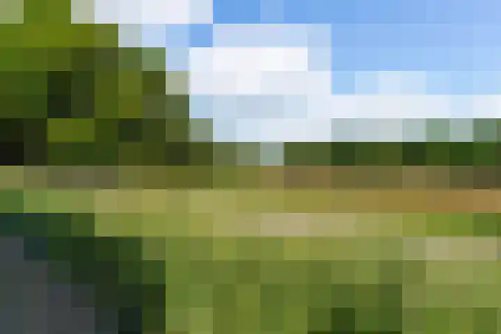Molenhoek 21 Vlijmen thumbnail 40
