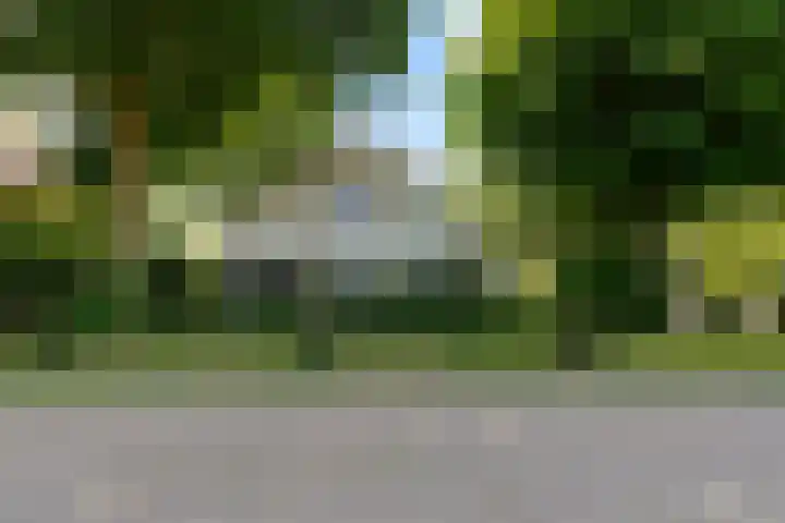 Molenhoek 21 Vlijmen thumbnail 45