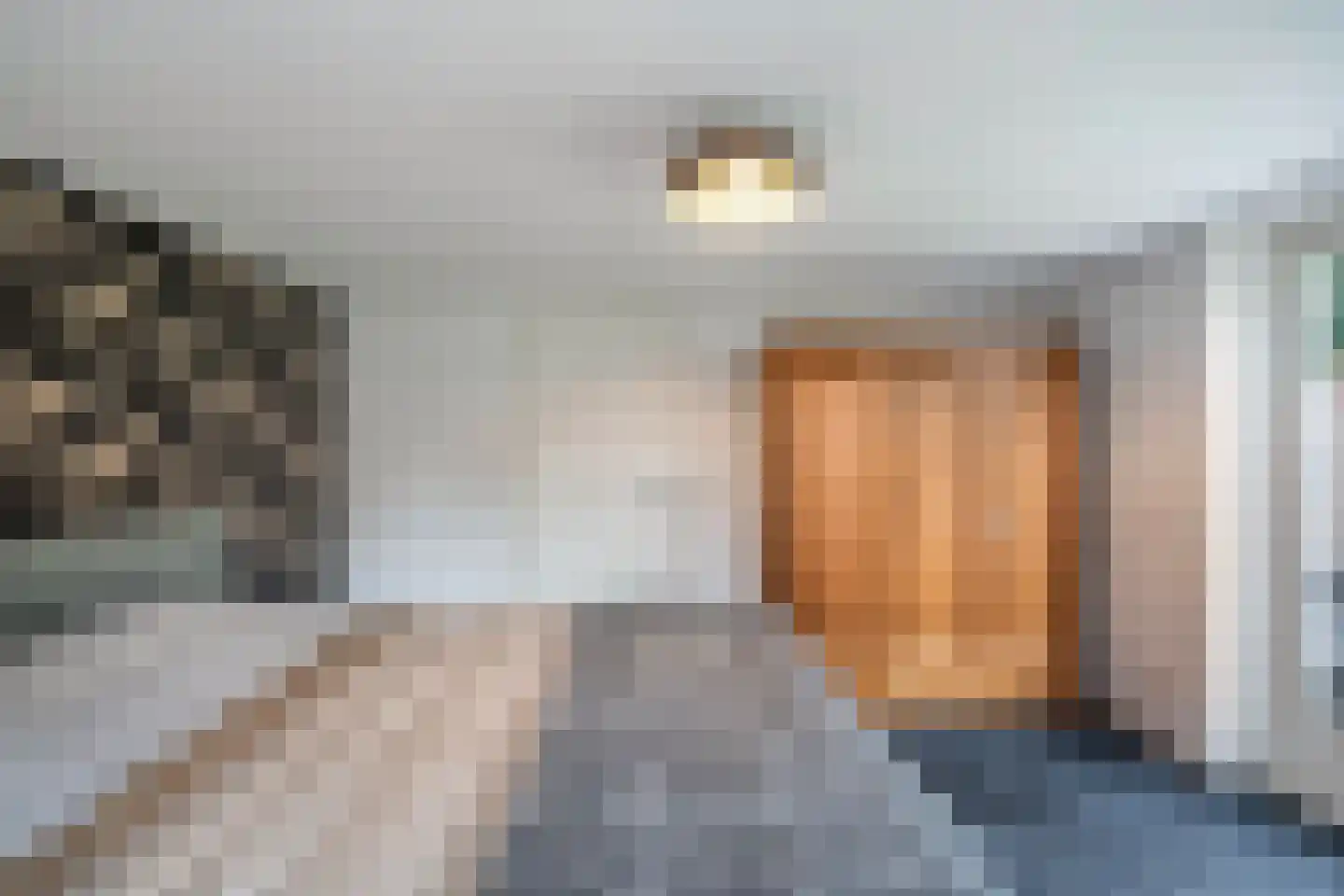 Molenhoek 26 Oldeberkoop thumbnail 27