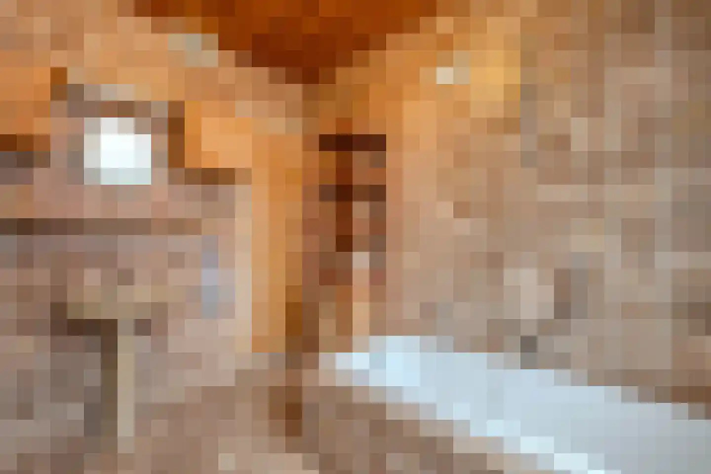 Molenhoek 26 Oldeberkoop thumbnail 29