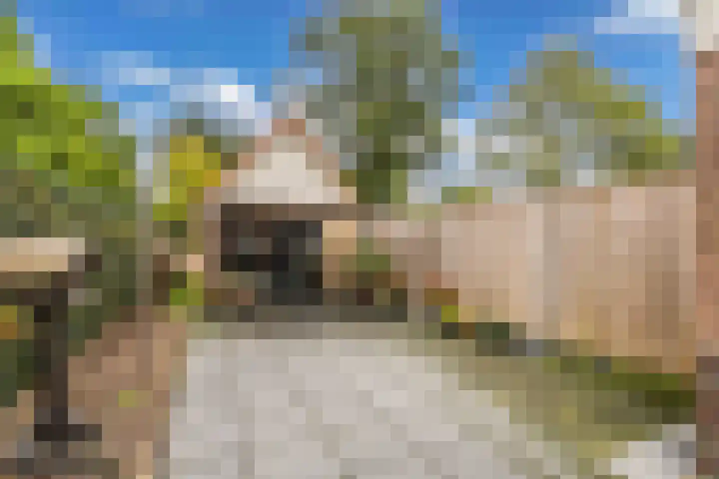 Molenhoek 26 Oldeberkoop thumbnail 45