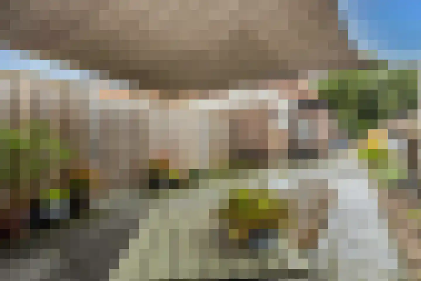 Molenhoek 26 Oldeberkoop thumbnail 46