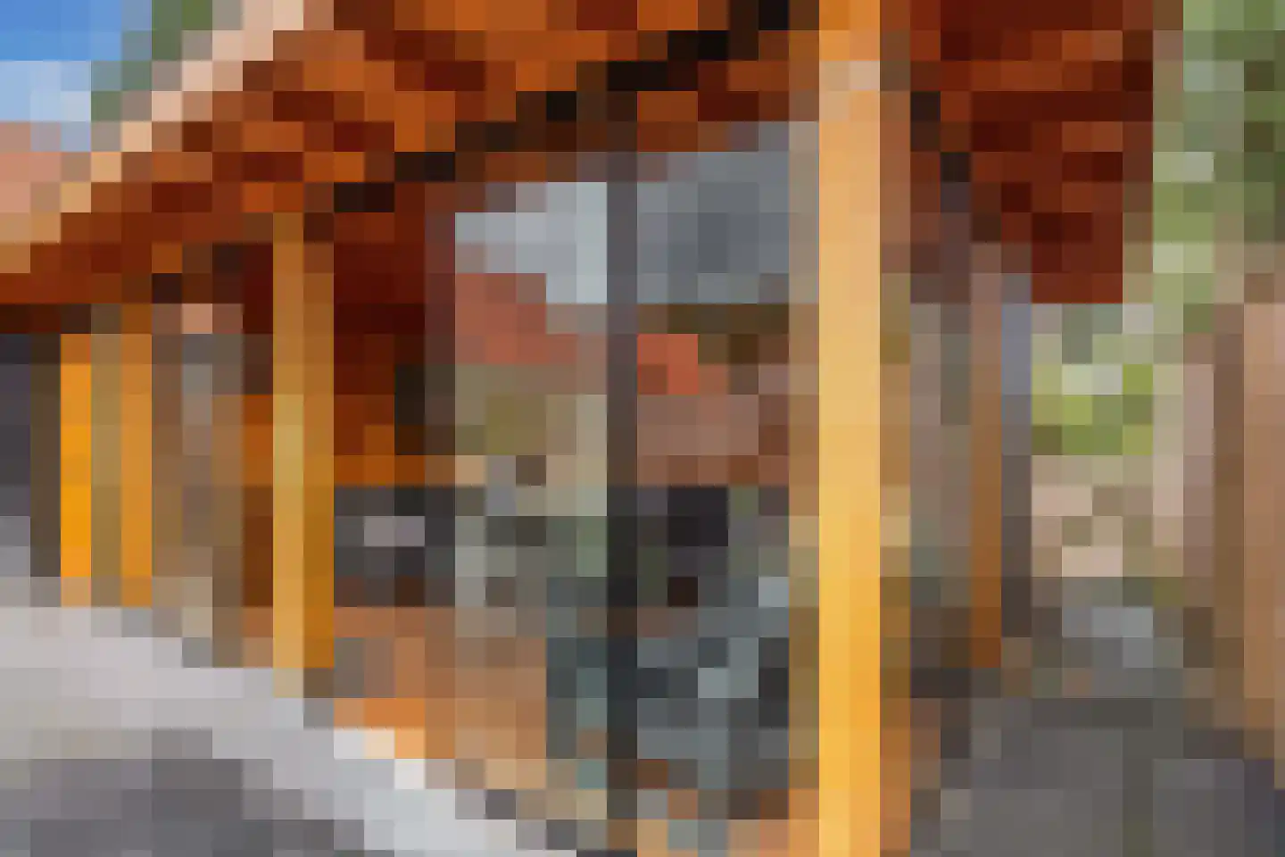 Molenhoek 26 Oldeberkoop thumbnail 53