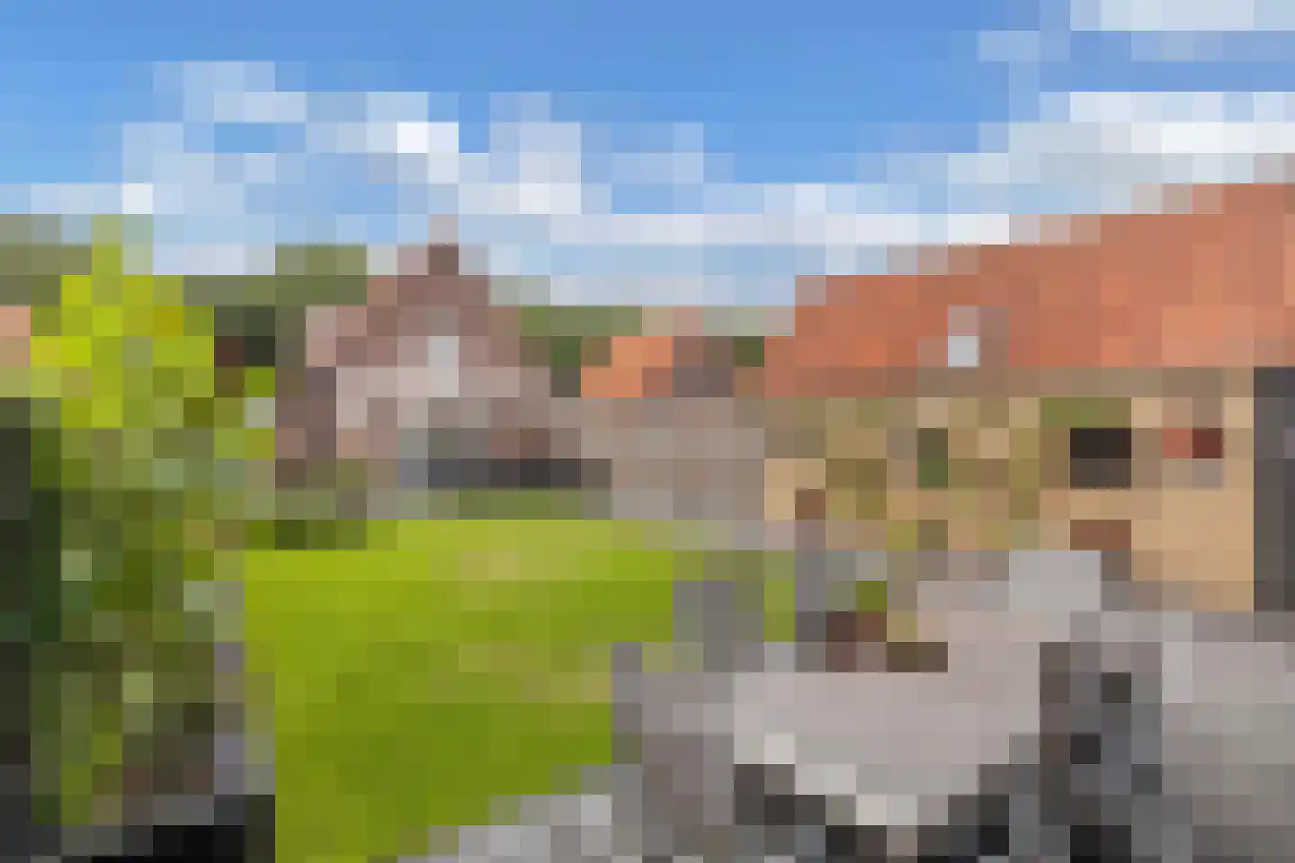 Molenhoek 26 Oldeberkoop thumbnail 57