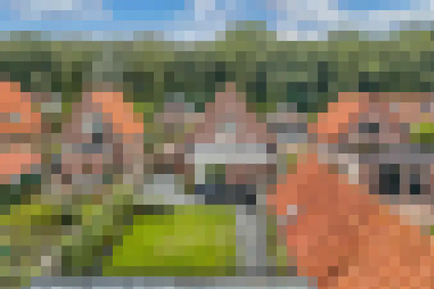 Molenhoek 26 Oldeberkoop thumbnail 63