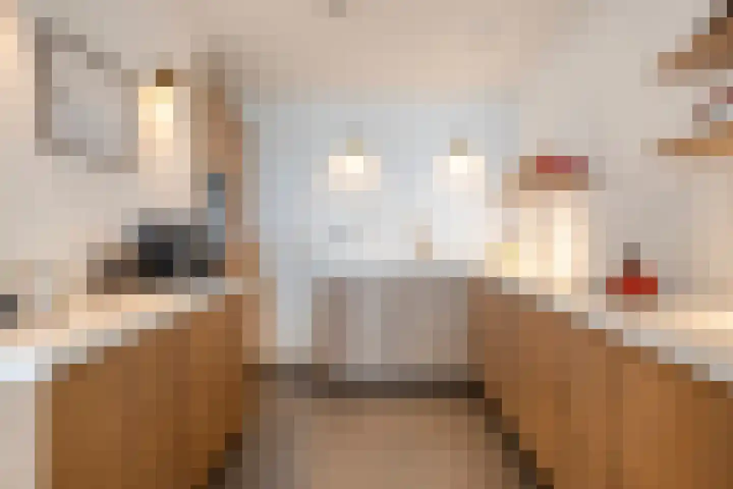 Molenhoek 3 Tiel thumbnail 15