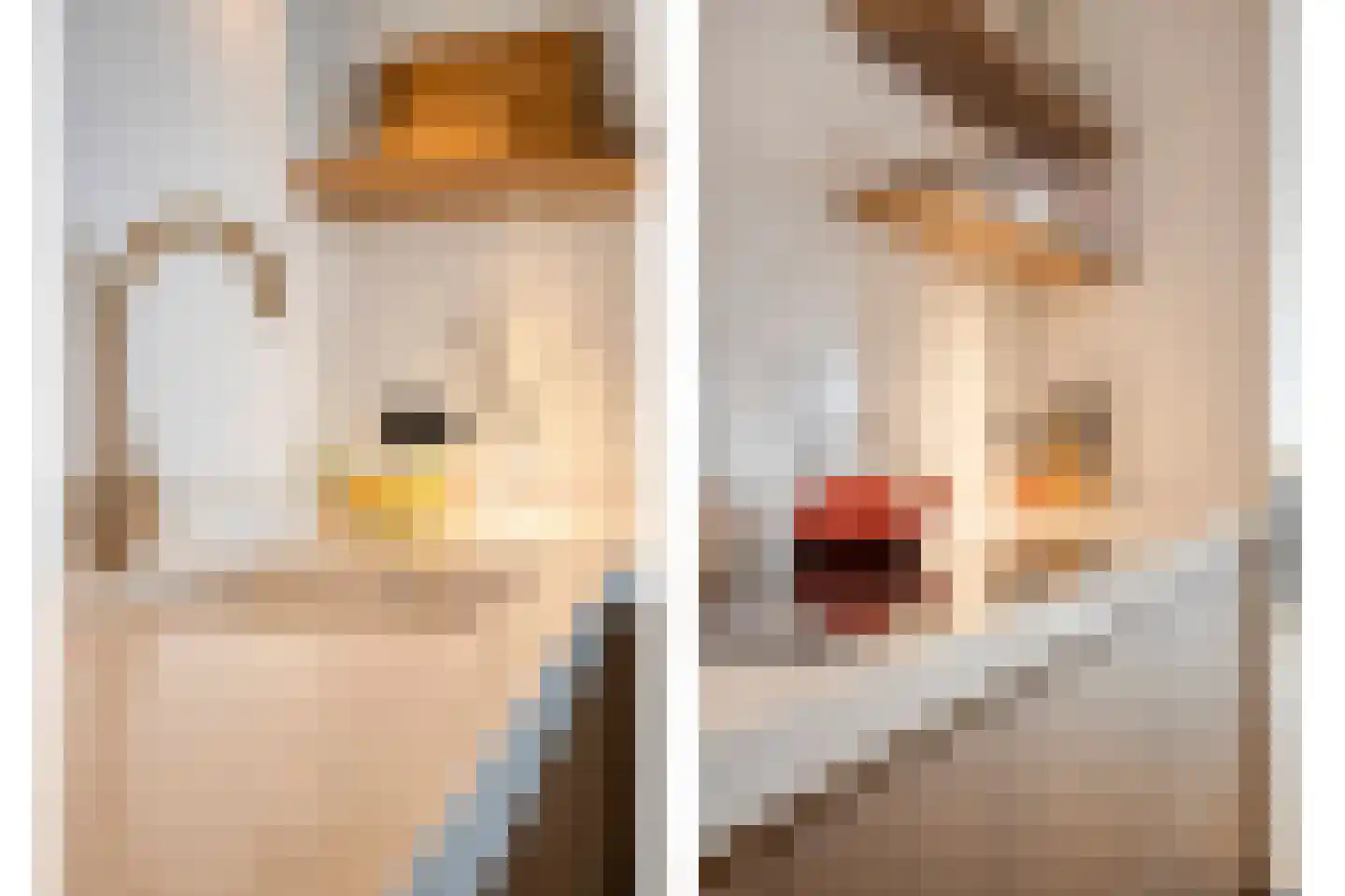 Molenhoek 3 Tiel thumbnail 17