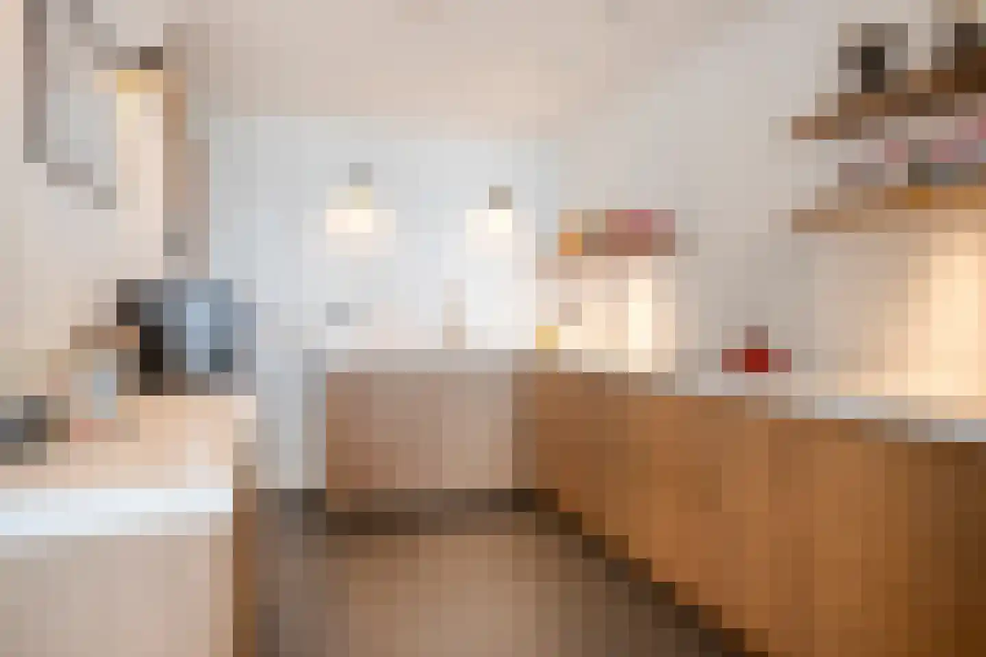 Molenhoek 3 Tiel thumbnail 19