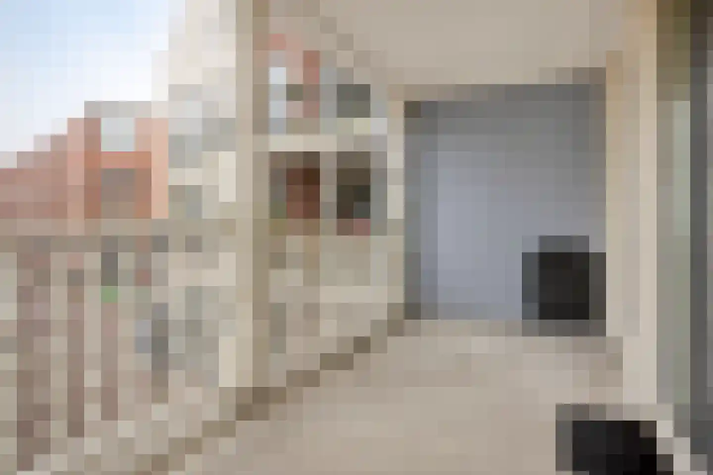 Molenhoek 3 Tiel thumbnail 21