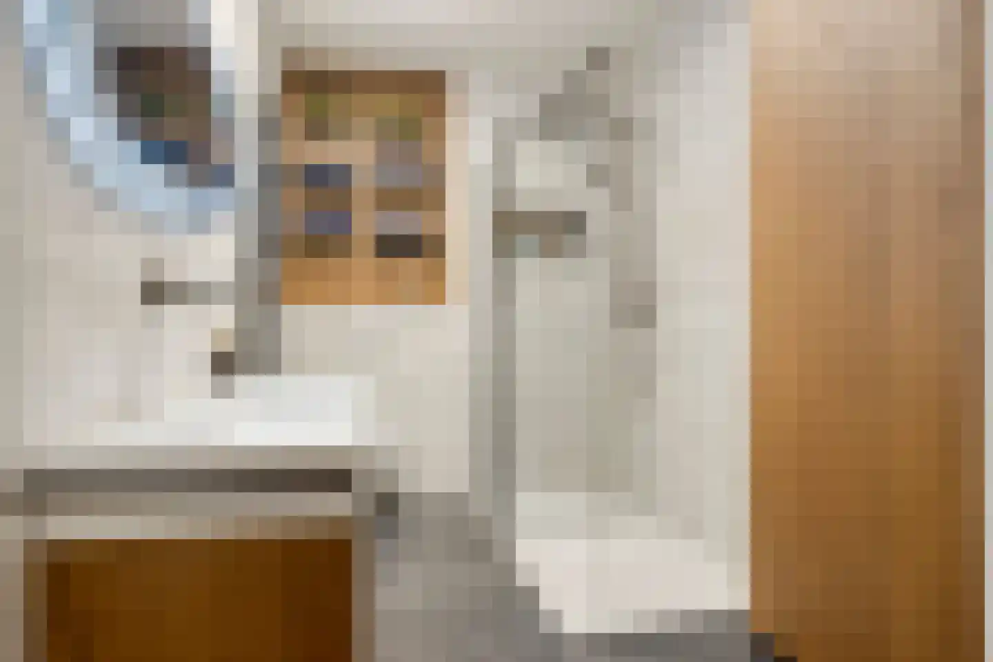 Molenhoek 3 Tiel thumbnail 25