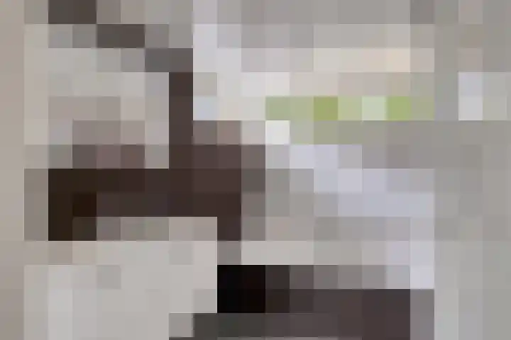Molenhoek 38 Oldeberkoop thumbnail 12