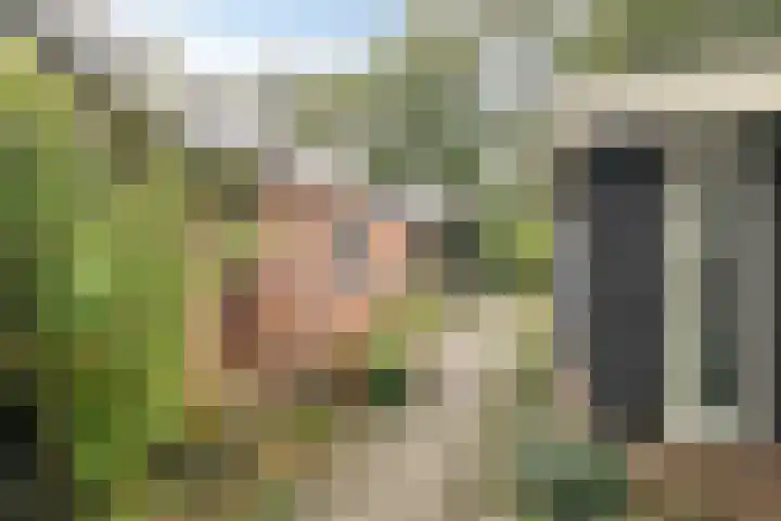 Molenhoek 38 Oldeberkoop thumbnail 20