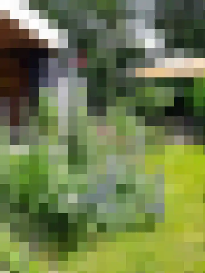 Molenhoek 38 Oldeberkoop thumbnail 27