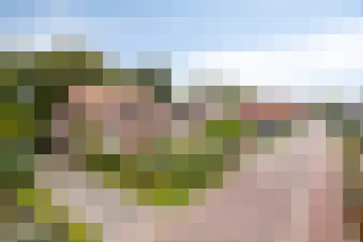 Molenhoek 38 Oldeberkoop thumbnail 30