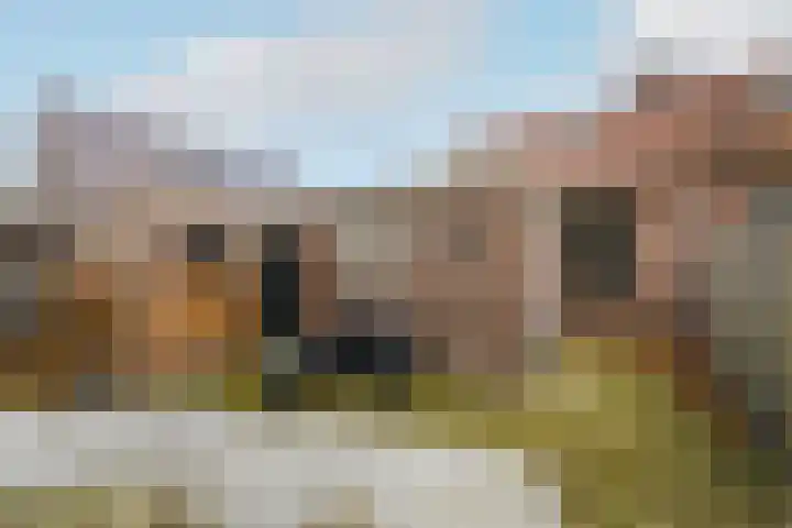Molenhoek 39 Oldeberkoop thumbnail 20